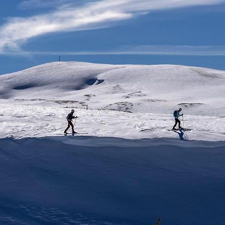 Studio Chaleureux Au Depart Des Sentiers Et Pistes De Ski Lajoux Bagian luar foto