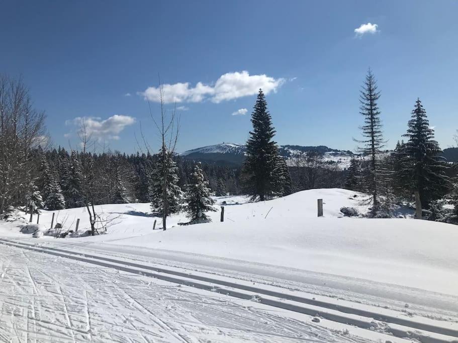 Studio Chaleureux Au Depart Des Sentiers Et Pistes De Ski Lajoux Bagian luar foto