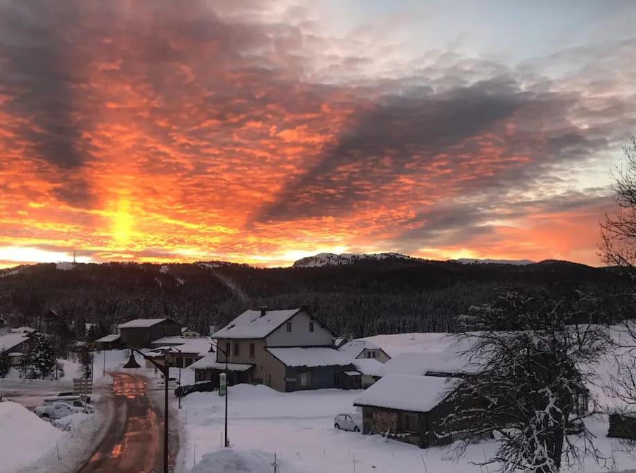 Studio Chaleureux Au Depart Des Sentiers Et Pistes De Ski Lajoux Bagian luar foto