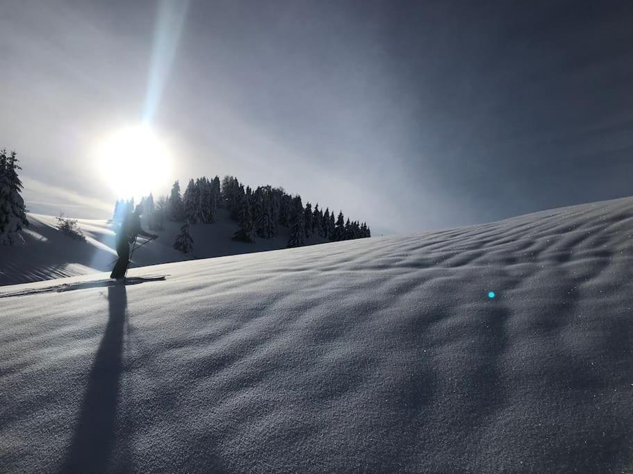 Studio Chaleureux Au Depart Des Sentiers Et Pistes De Ski Lajoux Bagian luar foto