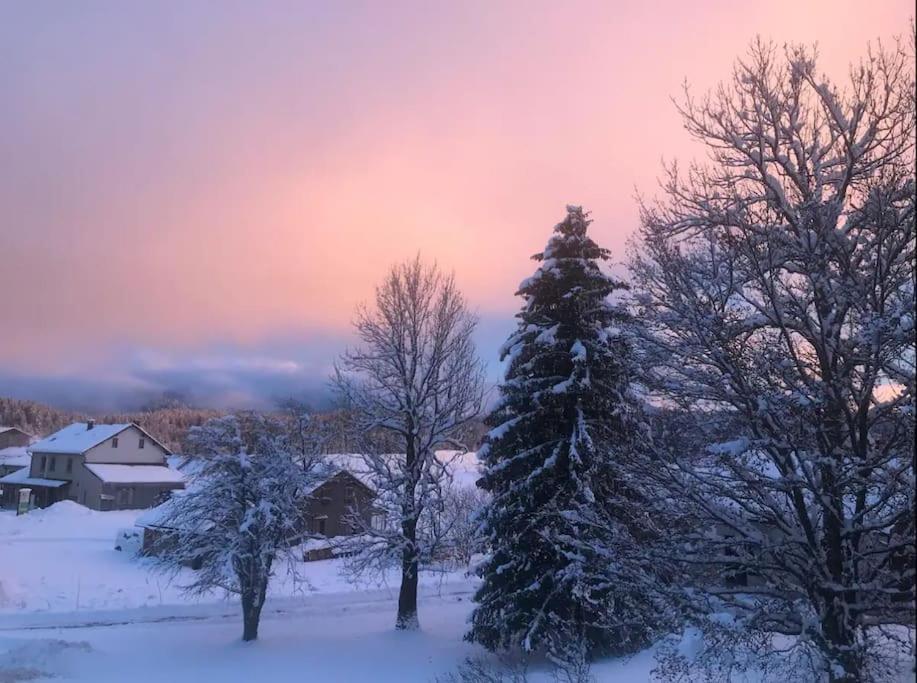 Studio Chaleureux Au Depart Des Sentiers Et Pistes De Ski Lajoux Bagian luar foto