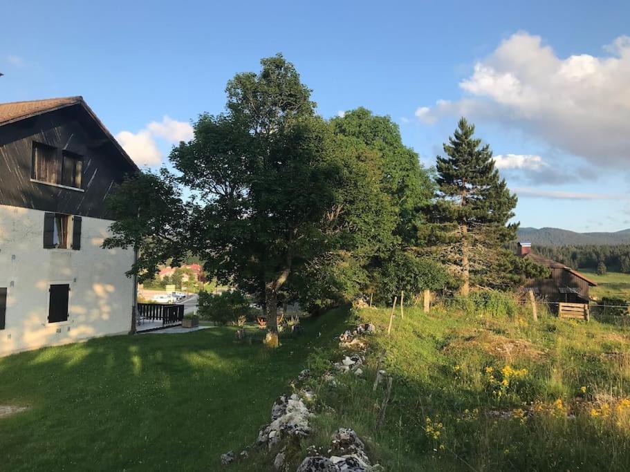 Studio Chaleureux Au Depart Des Sentiers Et Pistes De Ski Lajoux Bagian luar foto